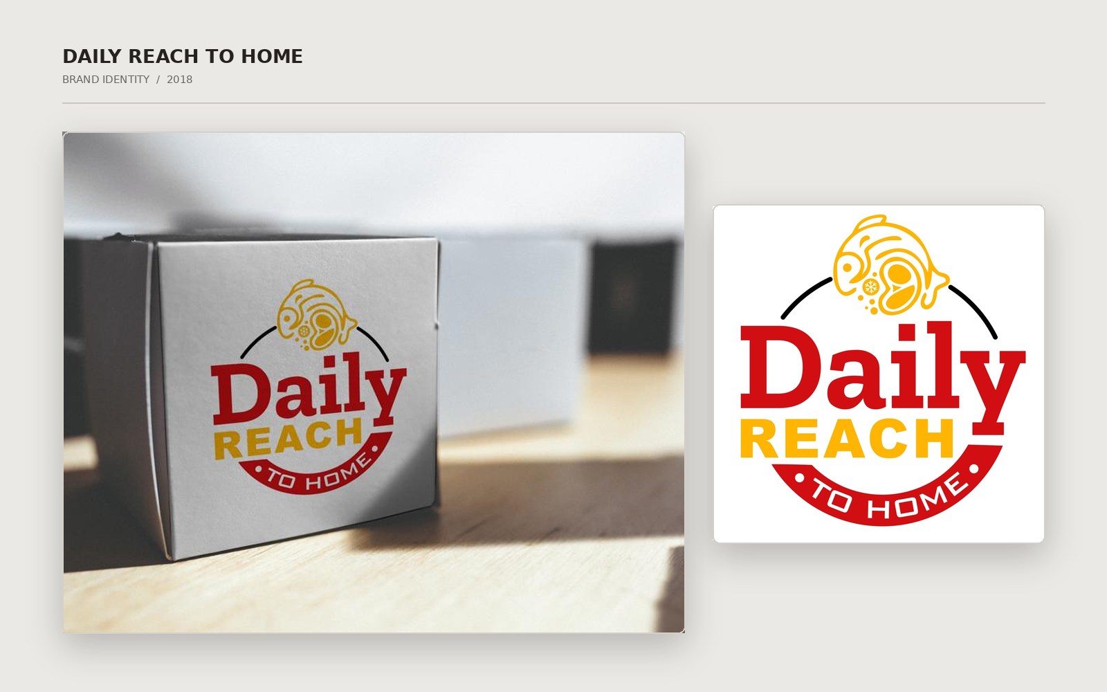 Daily Reach to Home logo shown with a delivery-box application mockup
