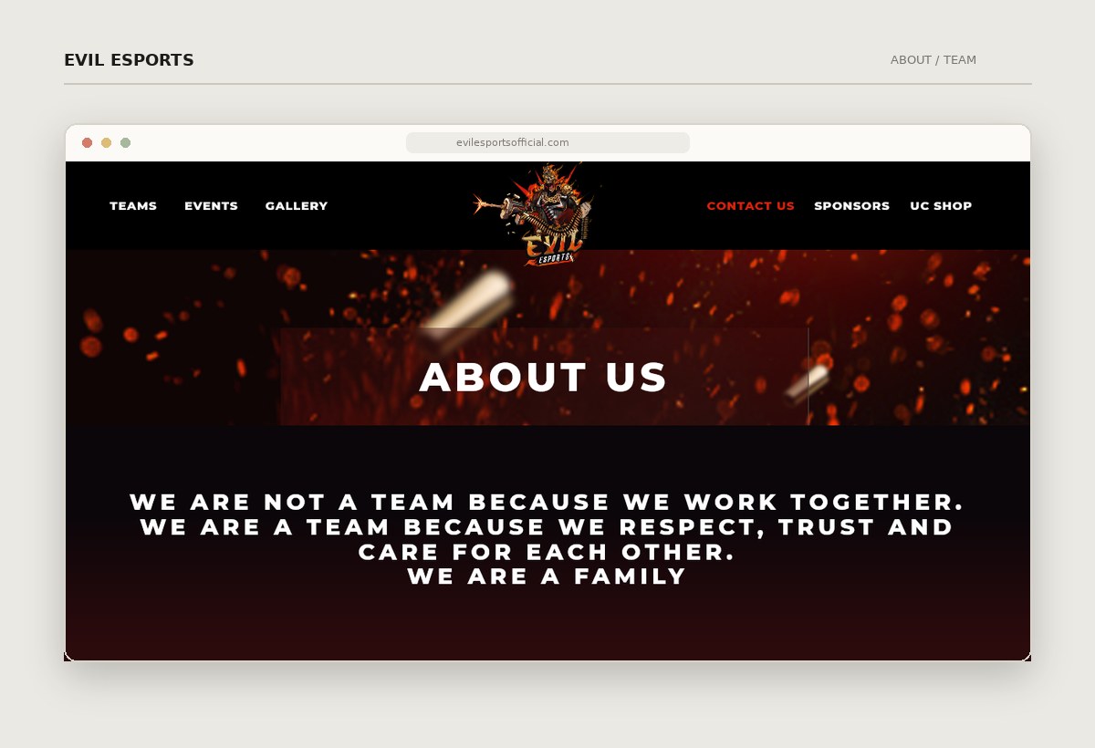 Evil Esports about page with the team story and founders